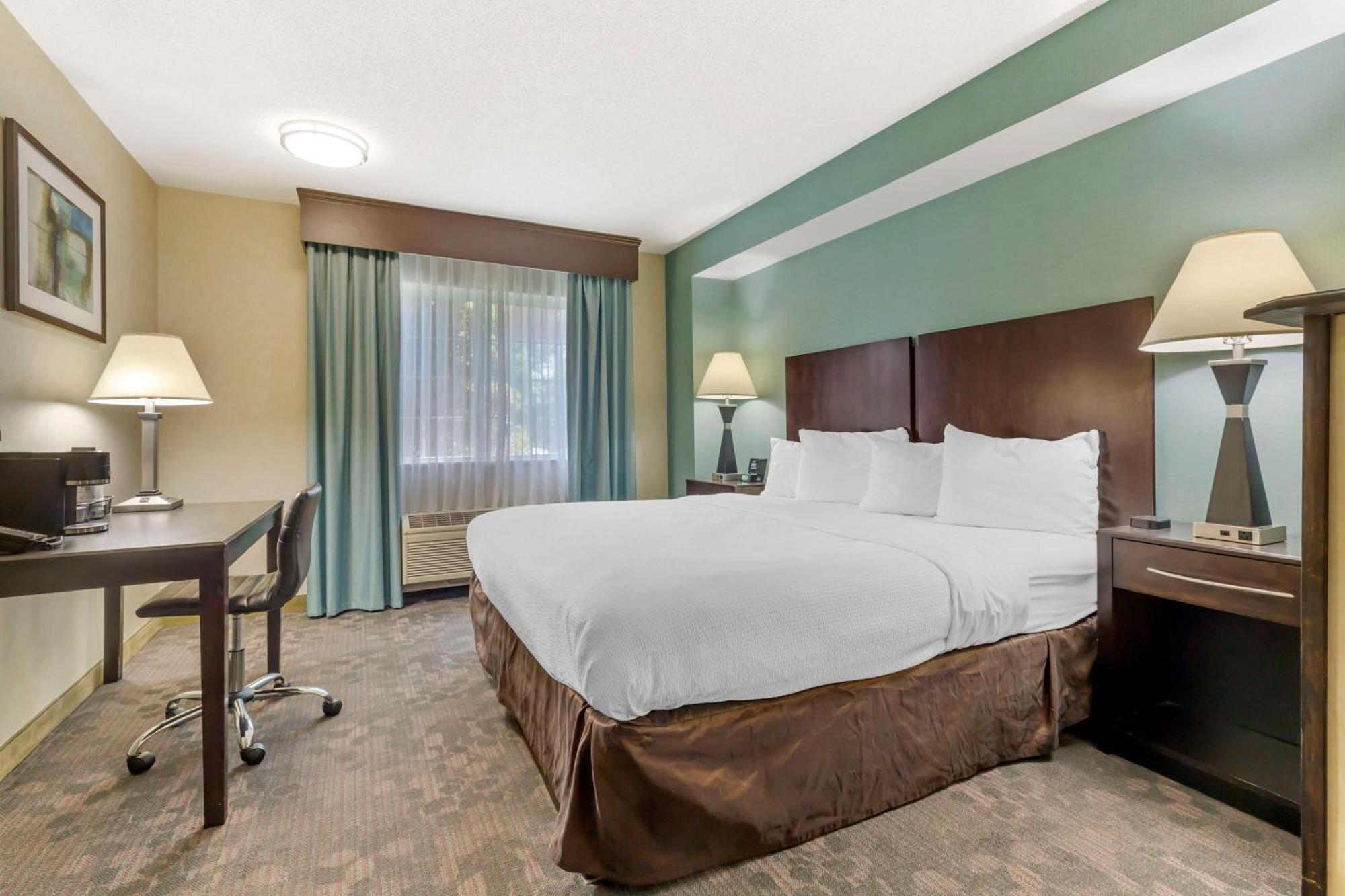 Best Western Plus Berkshire Hills Inn & Suites Pittsfield Exteriér fotografie